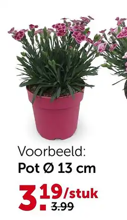 AVEVE Pot Ø 13 cm aanbieding