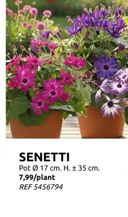 Brico Senetti aanbieding