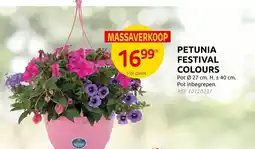 Brico Petunia festival colours aanbieding