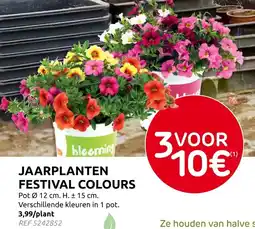 Brico Jaarplanten festival colours aanbieding