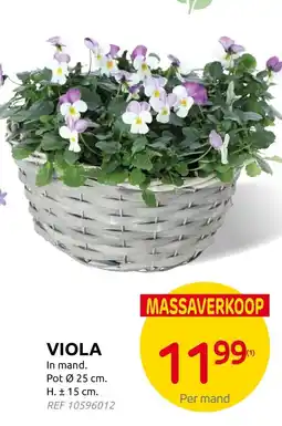 Brico Viola aanbieding