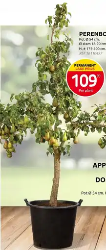 Brico Perenboom aanbieding