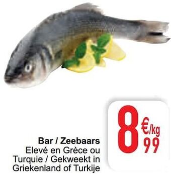 Cora Bar - zeebaars aanbieding