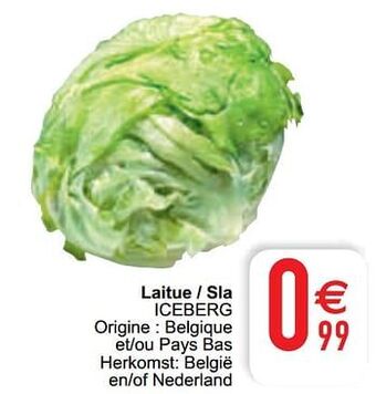 Cora Laitue - sla iceberg aanbieding