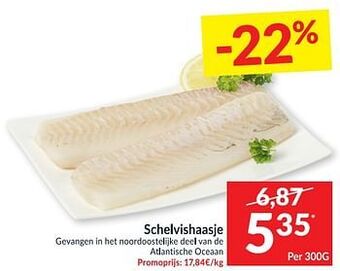 Schelvishaasje