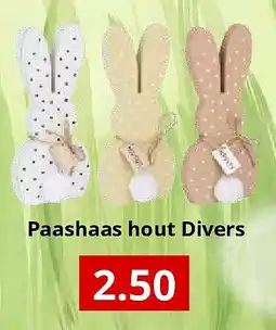 NH Market Paashaas hout Divers aanbieding