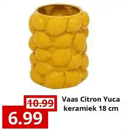NH Market Vaas Citron Yuca keramiek 18 cm aanbieding