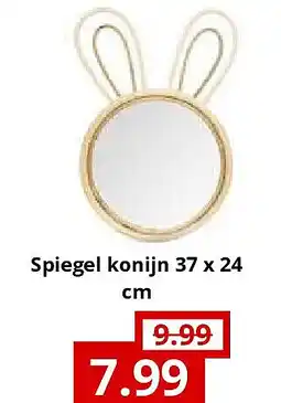 NH Market Spiegel konijn 37 x 24 cm aanbieding
