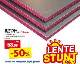 Hubo BETONPLEX 250 x 125 cm - 18 mm aanbieding