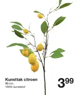 Zeeman Kunsttak citroen aanbieding