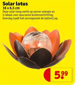 Kruidvat Solar Lotus aanbieding