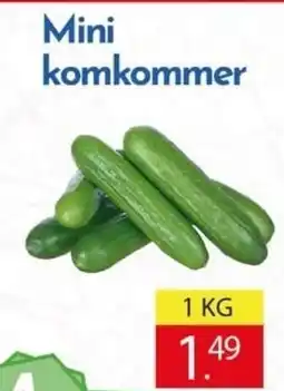 Tanger Markt Mini komkommer aanbieding