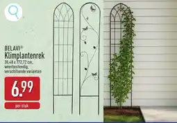 ALDI BELAVI Klimplantenrek aanbieding