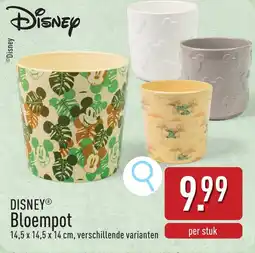 ALDI Disney Bloempot aanbieding