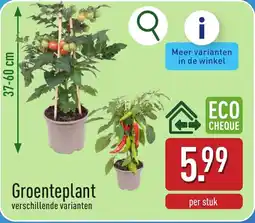 ALDI Groenteplant aanbieding