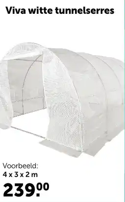 AVEVE Viva witte tunnelserres 4 x 3 x 2 m aanbieding