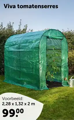 AVEVE Viva tomatenserres 2,28 x 1,32 x 2 m aanbieding