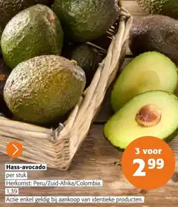 Colruyt Hass-avocado aanbieding