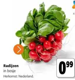 Colruyt Radijzen aanbieding