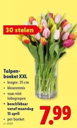 Lidl Tulpen boeket XXL aanbieding