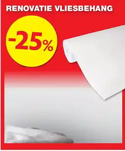 Hubo RENOVATIE VLIESBEHANG aanbieding