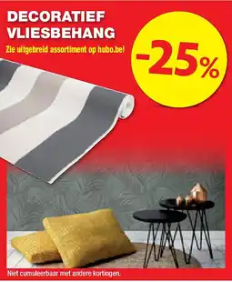 Hubo DECORATIEF VLIESBEHANG aanbieding