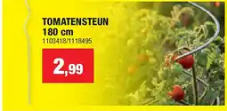Hubo TOMATENSTEUN 180 cm aanbieding