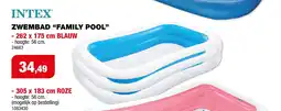Hubo Intex Family Pool zwembad 262x175x56 cm aanbieding
