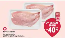 Delhaize Roodbaarsfilet aanbieding