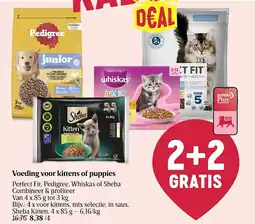 Delhaize Voeding voor kittens of puppies aanbieding