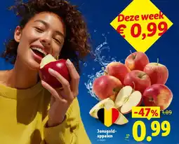 Lidl Jonagold- appelen aanbieding