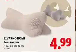 Lidl Livarno home leeskussen aanbieding