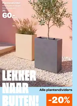 Kwantum Plantendivider aanbieding