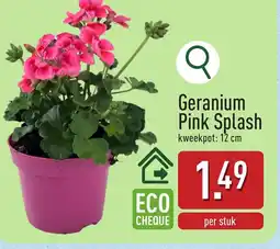 ALDI Geranium Pink Splash aanbieding