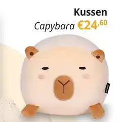 YGO Kussen Capybara aanbieding