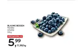 Alvo Blauwe bessen marokko schaaltje aanbieding