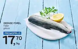 Alvo Deense forel fisker gekuist aanbieding