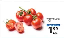 Alvo Trostomaten aanbieding