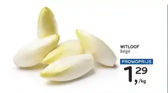 Alvo Witloof aanbieding