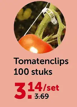 AVEVE Tomatenclips 100 stuks aanbieding