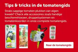 AVEVE Tips & tricks in de tomatengids aanbieding