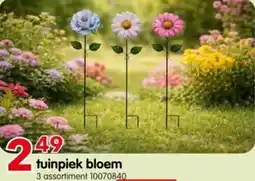 Yess Tuinpiek bloem aanbieding