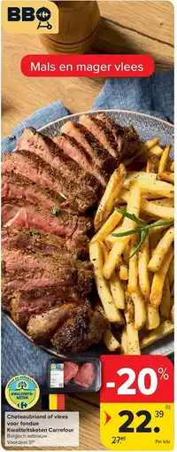 Carrefour Chateaubriand of vlees voor fondue Kwaliteitsketen Carrefour aanbieding