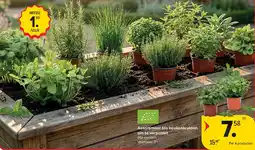 Carrefour Assortiment bio keukenkruiden om te verpotten aanbieding