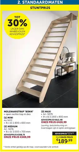 Zelfbouwmarkt MOLENAARS TRAP BONN [1] MINI aanbieding