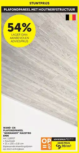 Zelfbouwmarkt WAND- EN PLAFONDPANEEL NORMANDY MAESTRO 8MM aanbieding