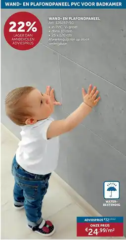 Zelfbouwmarkt WAND- EN PLAFONDPANEEL aanbieding