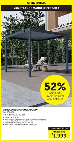 Zelfbouwmarkt VRIJSTAANDE PERGOLA OLIVIA aanbieding