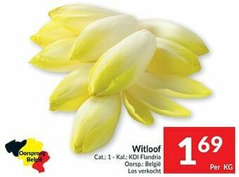 Intermarché Witloof aanbieding