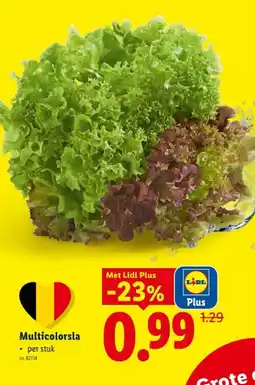 Lidl Multicolorsla aanbieding